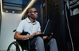 IT/Telecoms Job
